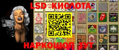крисы Гагарин