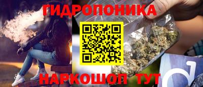 крисы Гагарин