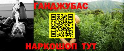 крисы Гагарин