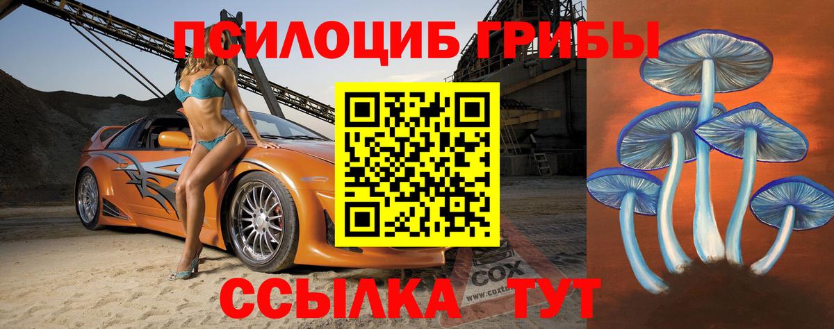 Галлюциногенные грибы Psilocybine cubensis Прохладный