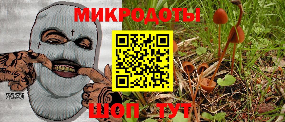 Псилоцибиновые грибы мицелий  Вход с VPN  где можно купить наркотик  Прохладный 
