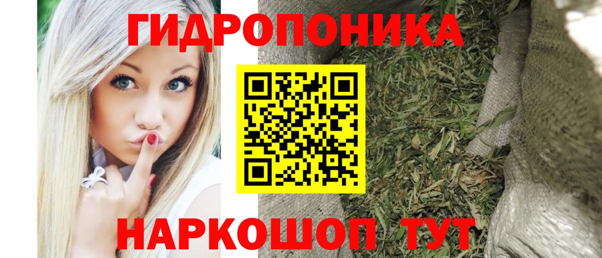 Марихуана семена Прохладный